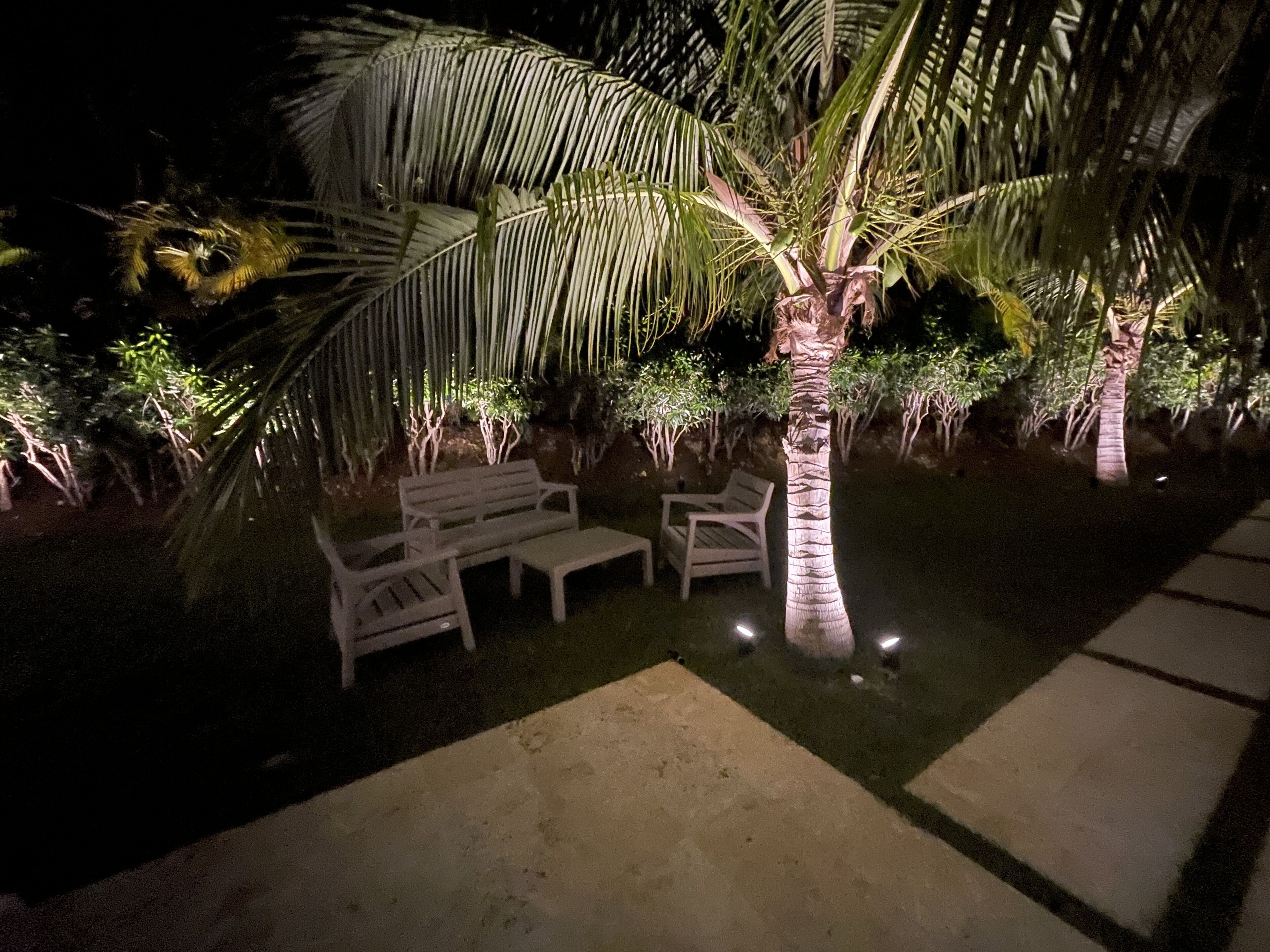 Un área de estar al aire libre con mobiliario blanco bajo una palmera de noche.