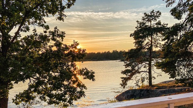 En vacker utsikt över sjön med en träbrygga, träd och en solnedgång.