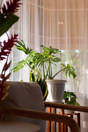 Interior - Casa Roble Fortuna (Alajuela, San Carlos, Fortuna)