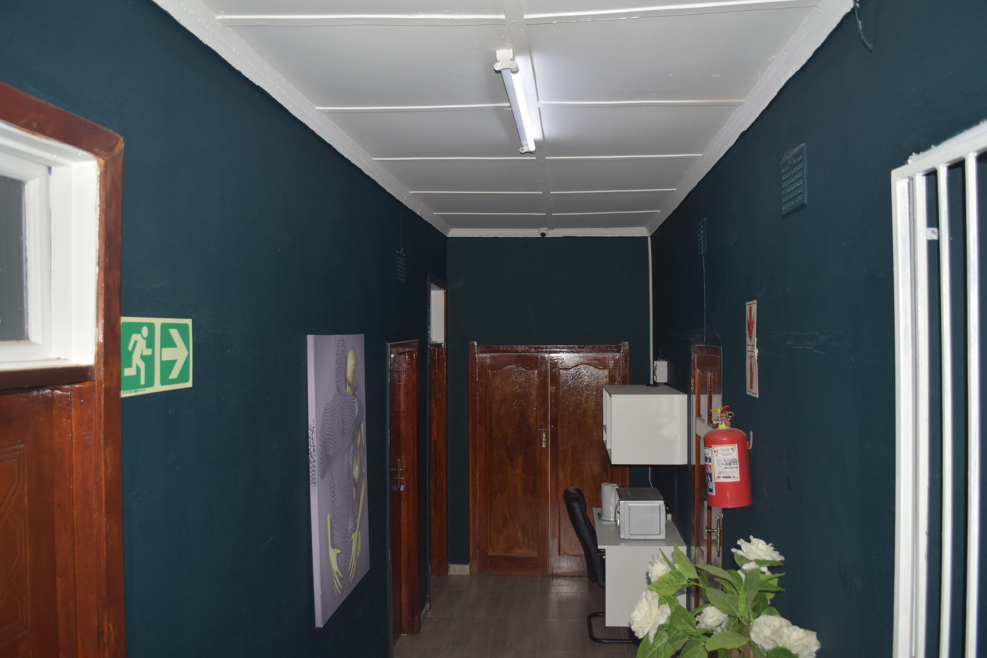 Un pasillo con una señal de salida verde, una puerta de madera, un extintor blanco montado en la pared y un cuadro enmarcado en la pared.