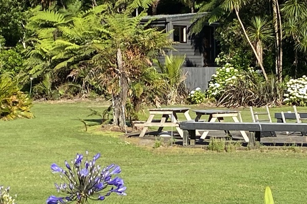 Nestled on the edge of Coromandel State Forest overlooking expansive yard