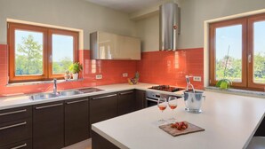 A modern kitchen with a central island, a gas stove, and a stainless steel sink. There are two windows providing natural light and a view of greenery outside.