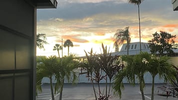 A view of a parking lot with palm trees and a building in the background.