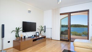 テレビ、DVD プレーヤー、卓球台、ステレオ
