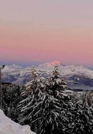 Miscellaneous - LA Grotte AUX Fees - Brison Saint Innocent (BRISON SAINT INNOCENT)