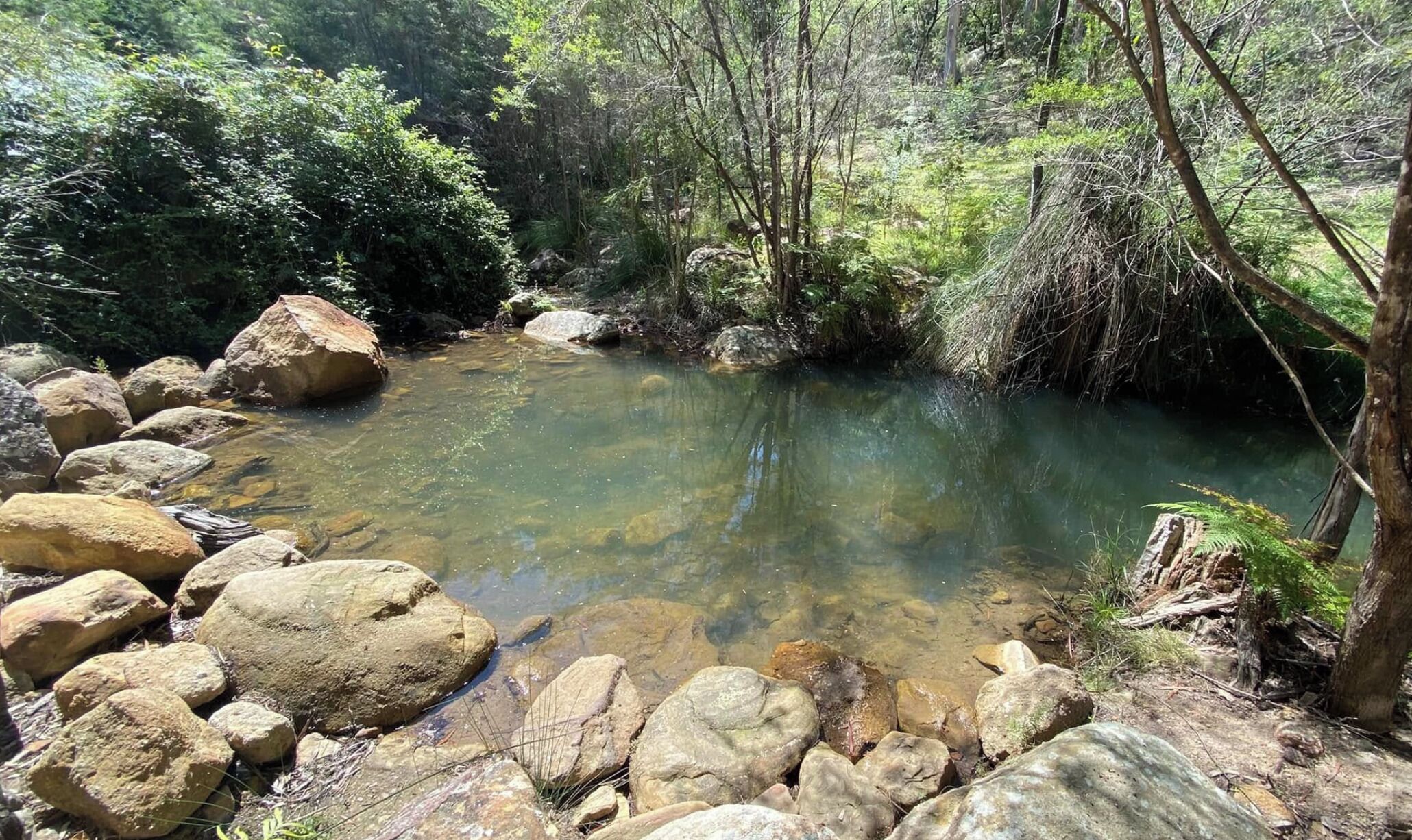 Un arroyo cristalino rodeado de rocas y un bosque frondoso.