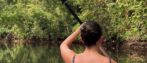 Una persona practica kayak en un río rodeado de vegetación densa.