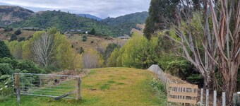 Commune with Nature at Hilltop View in Nikau Valley!