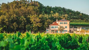 A two-story building with a red-tiled roof, surrounded by lush greenery and vineyards. - Beautiful home in Buje (Buje)