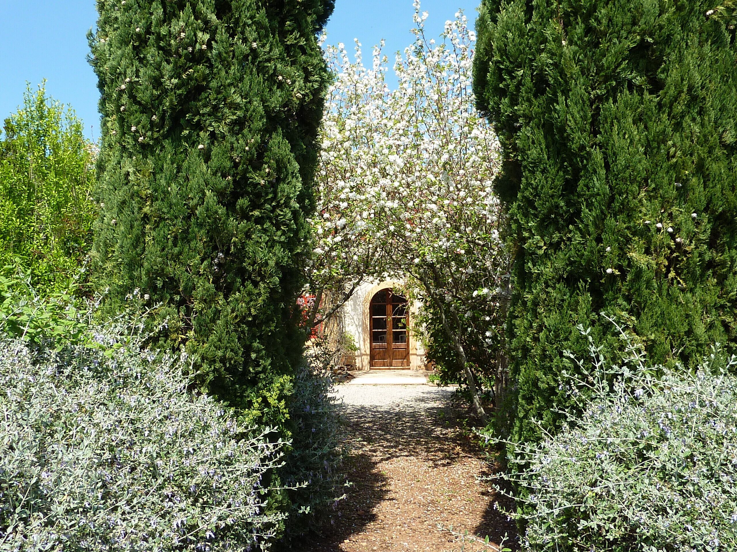 A pathway leading to a building with an arched entrance, surrounded by dense evergreen trees and flowering shrubs.