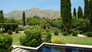 A pool surrounded by lush greenery and a mountainous backdrop.