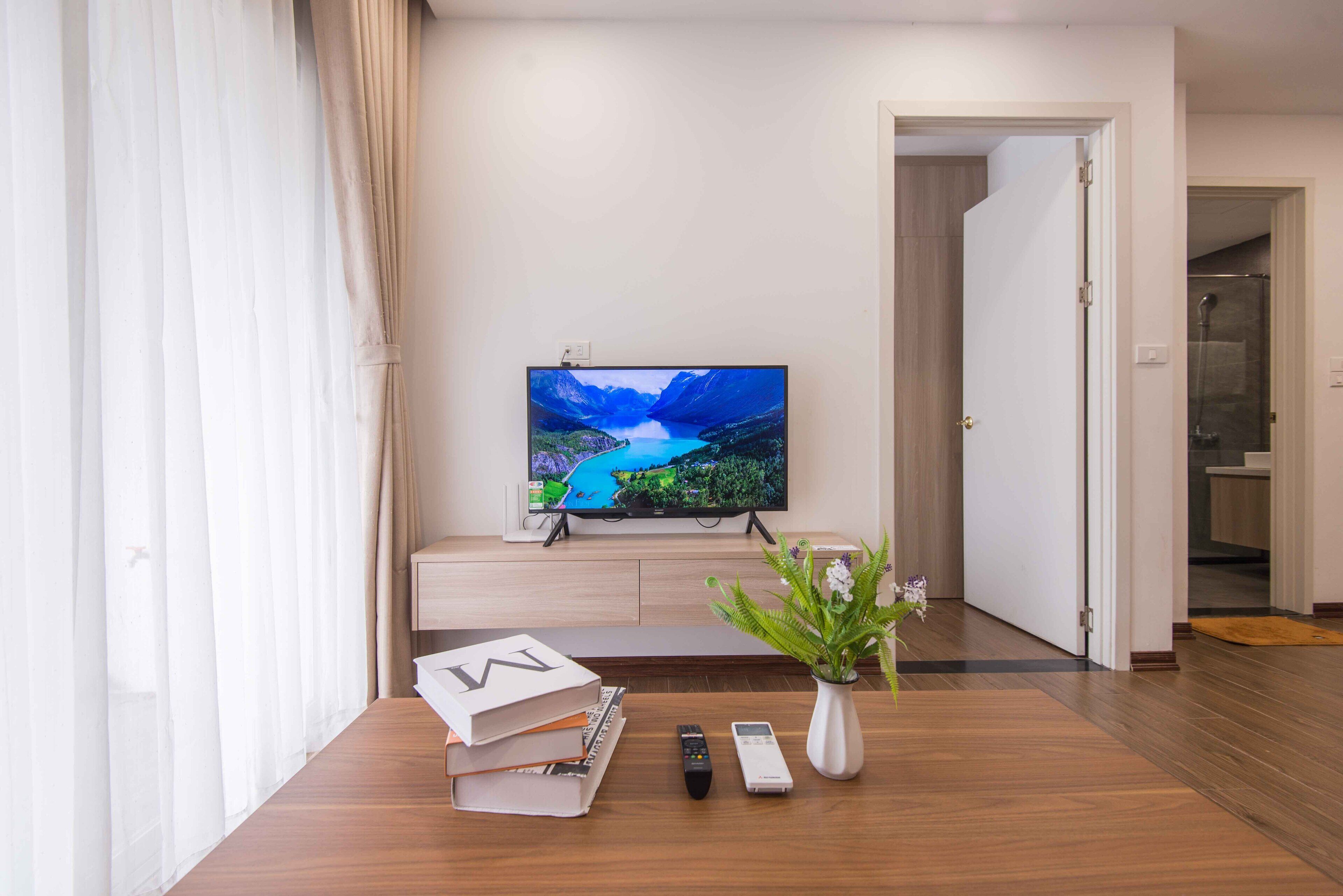 Una sala de estar moderna con un televisor de pantalla plana sobre un mueble, una mesa de centro con libros y controles remotos, una planta en maceta y piso de madera.
