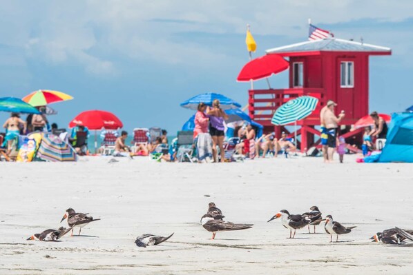 A beach scene with a lifeguard tower, umbrellas, and people.