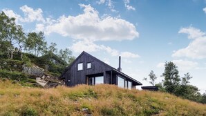 A modern house with a dark wooden exterior, large windows, and a chimney, situated on a grassy hill with trees in the background.
