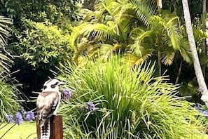 A bird perched on a wooden post surrounded by green foliage and purple flowers. - The Bungalow - Luxurious & Calm | Beach & Bush (Valla Beach)