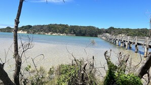 Vista despejada de una playa con un muelle de madera que se adentra en el agua, rodeado de árboles y cielos despejados.
