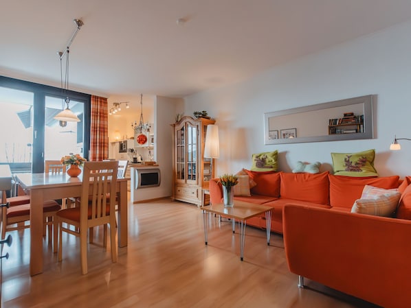 電視、DVD 播放機