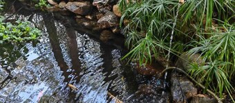 Departamento en medio de la naturaleza, ¡a solo 10 minutos del centro de Oaxaca!