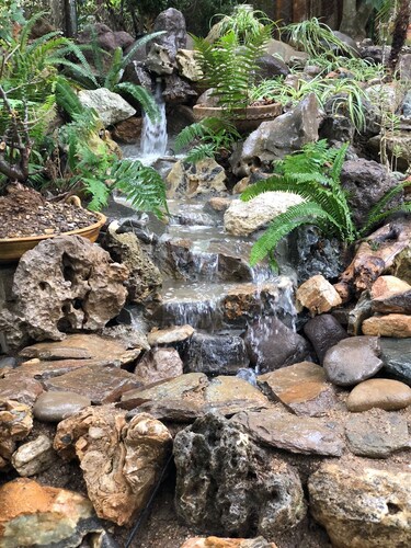 Departamento en medio de la naturaleza, ¡a solo 10 minutos del centro de Oaxaca!