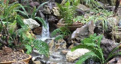 Departamento en medio de la naturaleza, ¡a solo 10 minutos del centro de Oaxaca!