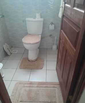 Deluxe Apartment | Bathroom | Shower, free toiletries, slippers, bidet