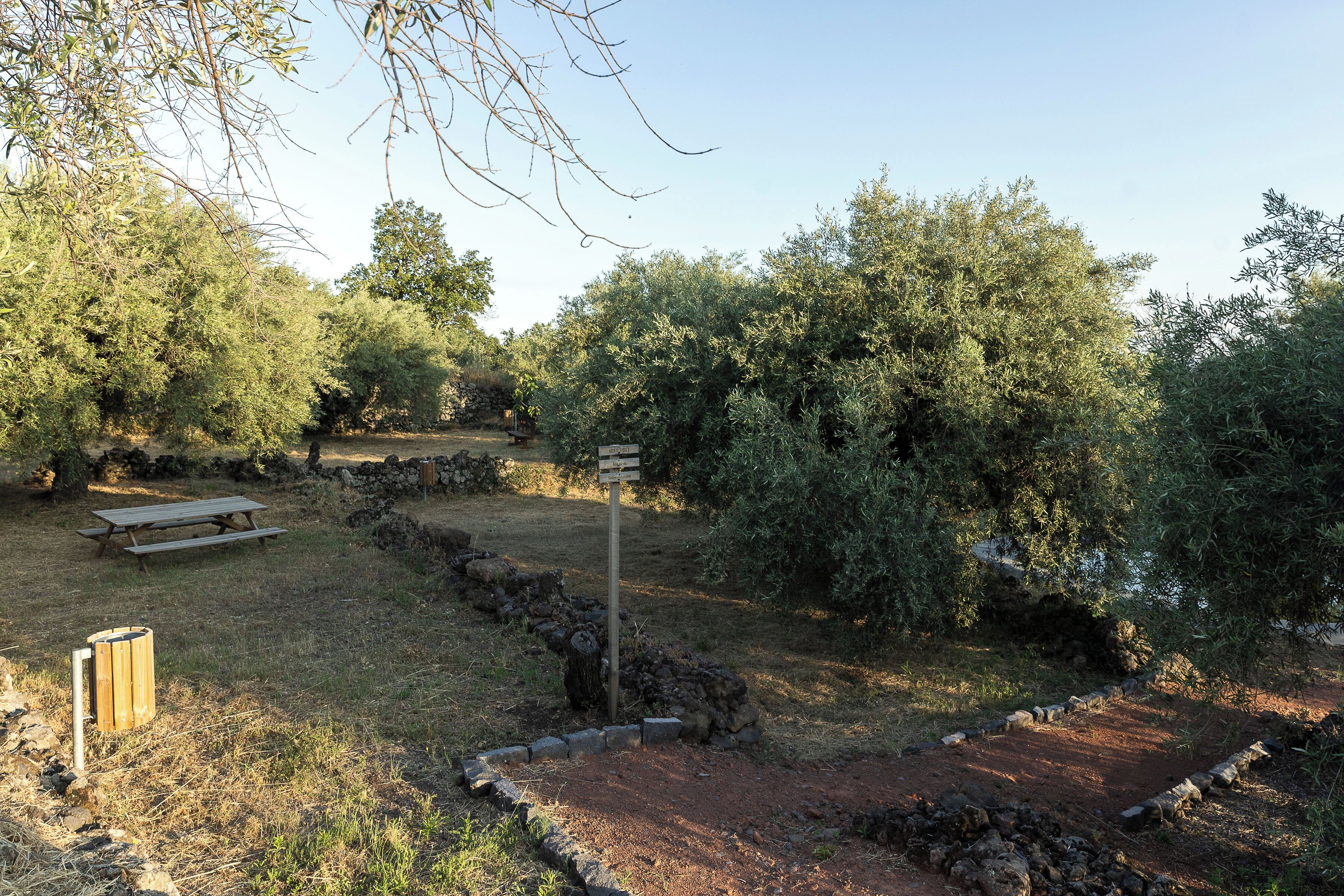 A picnic area with a wooden bench and a signpost, surrounded by trees and a dirt path.
