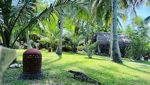 A tropical garden with a variety of palm trees, a thatched structure, and a large decorative urn. - coconut island cabanas (Tangalle)