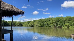 A tranquil lakeside scene with a thatched-roof structure and dense greenery. - coconut island cabanas (Tangalle)