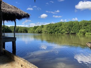 Terrace/patio - coconut island cabanas (Tangalle)