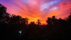 A sunset with a vibrant sky, silhouettes of palm trees, and a street lamp in the foreground. - coconut island cabanas (Tangalle)