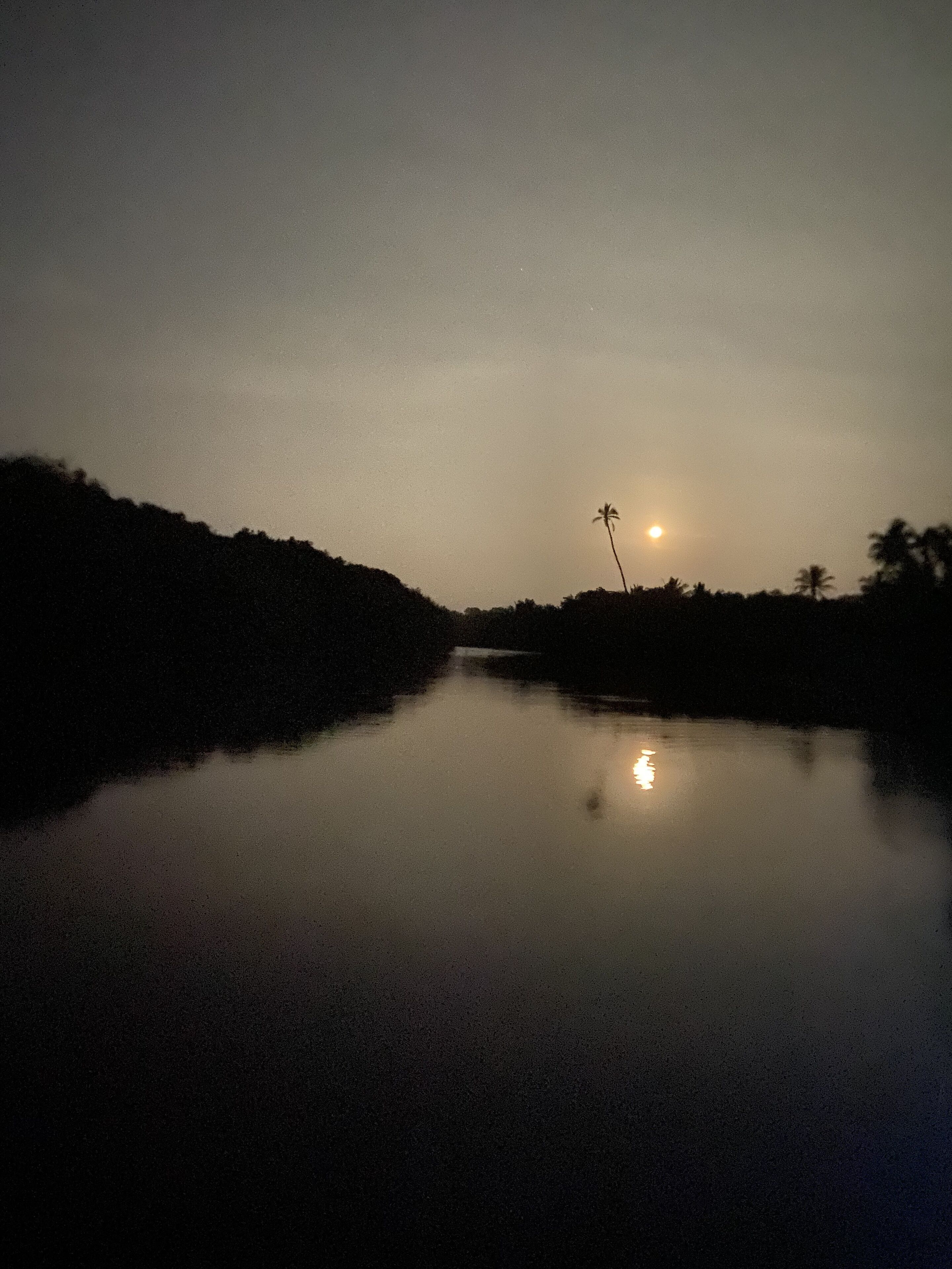A calm river at dusk with a palm tree silhouetted against the sky.