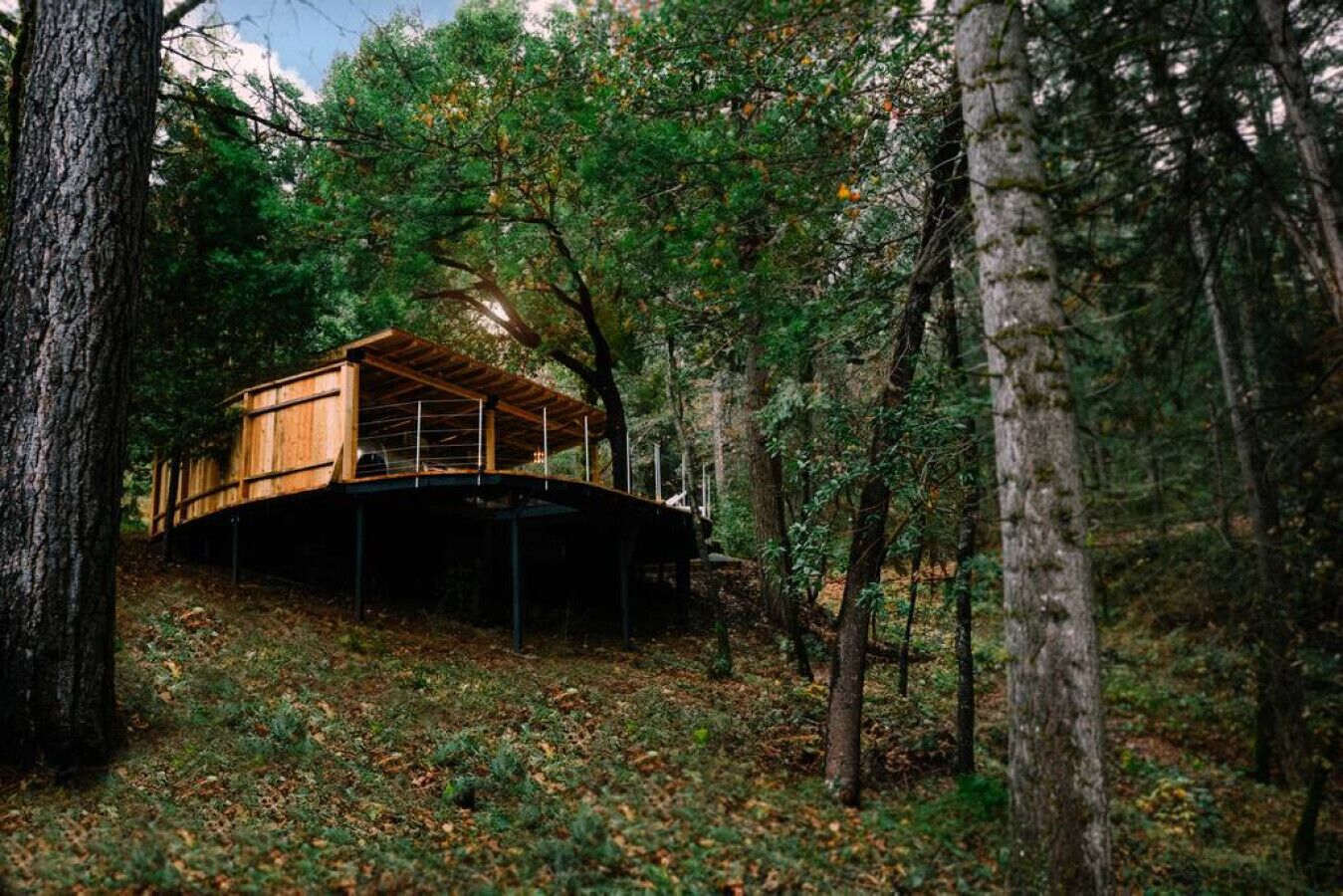A wooden cabin with a sloped roof, surrounded by dense forest.