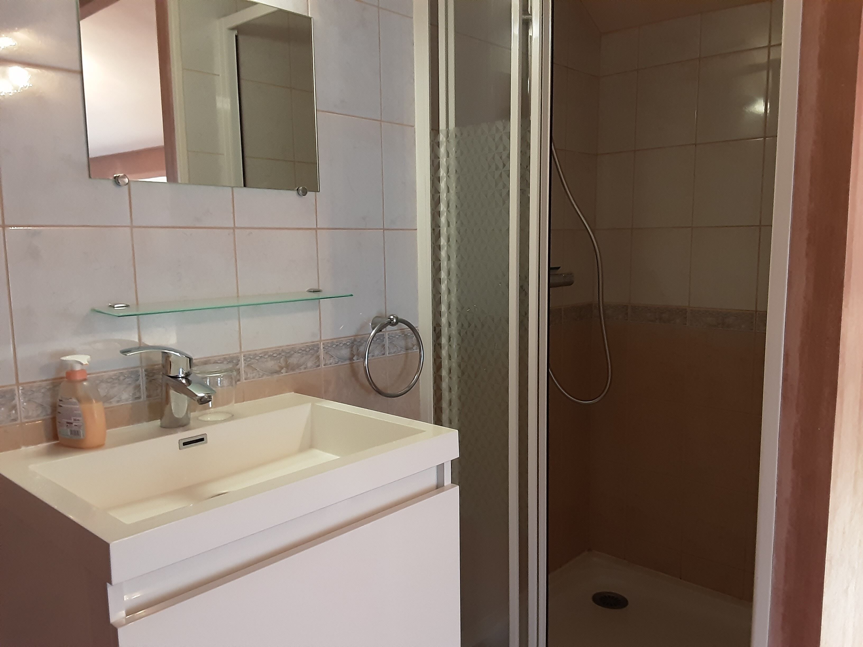Secadora de cabello, toallas, jabón, papel de baño 