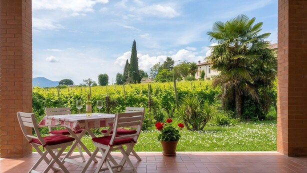 Un patio con una mesa, sillas, una planta en maceta y vista a viñedos.