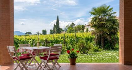 Hiker & Biker House - Private Parking & Garden