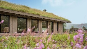 A modern building with a green roof, large windows, and a natural landscape with purple flowers. - 3 bedroom nice home in Vøringsfoss (Vøringsfoss)