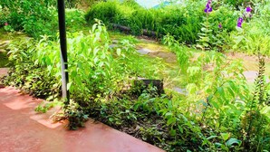 A covered outdoor area with a concrete pathway, surrounded by lush greenery and flowering plants.