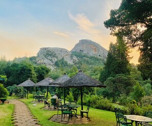 A garden with outdoor seating, a duck, and a mountain in the background.