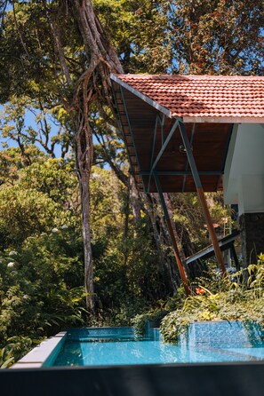 Luxury Villa, 2 Bedrooms | Private pool