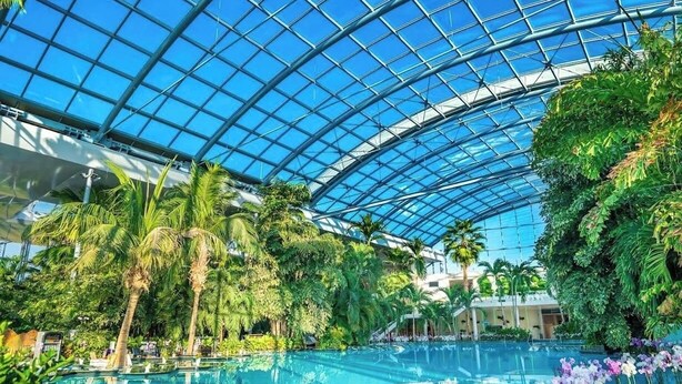 An indoor swimming pool with a glass ceiling, surrounded by lush greenery and palm trees. - Apartament la 3 minute de aeroport, in centrul orasului langa parc si restaurant (Otopeni)
