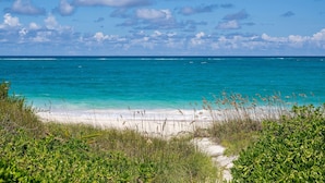 Une plage aux eaux turquoise et limpides, au sable blanc et à la végétation luxuriante.