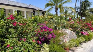 House, 4 Bedrooms | Perincian bahagian luar