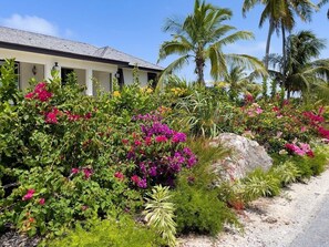 House, 4 Bedrooms | Exterior detail