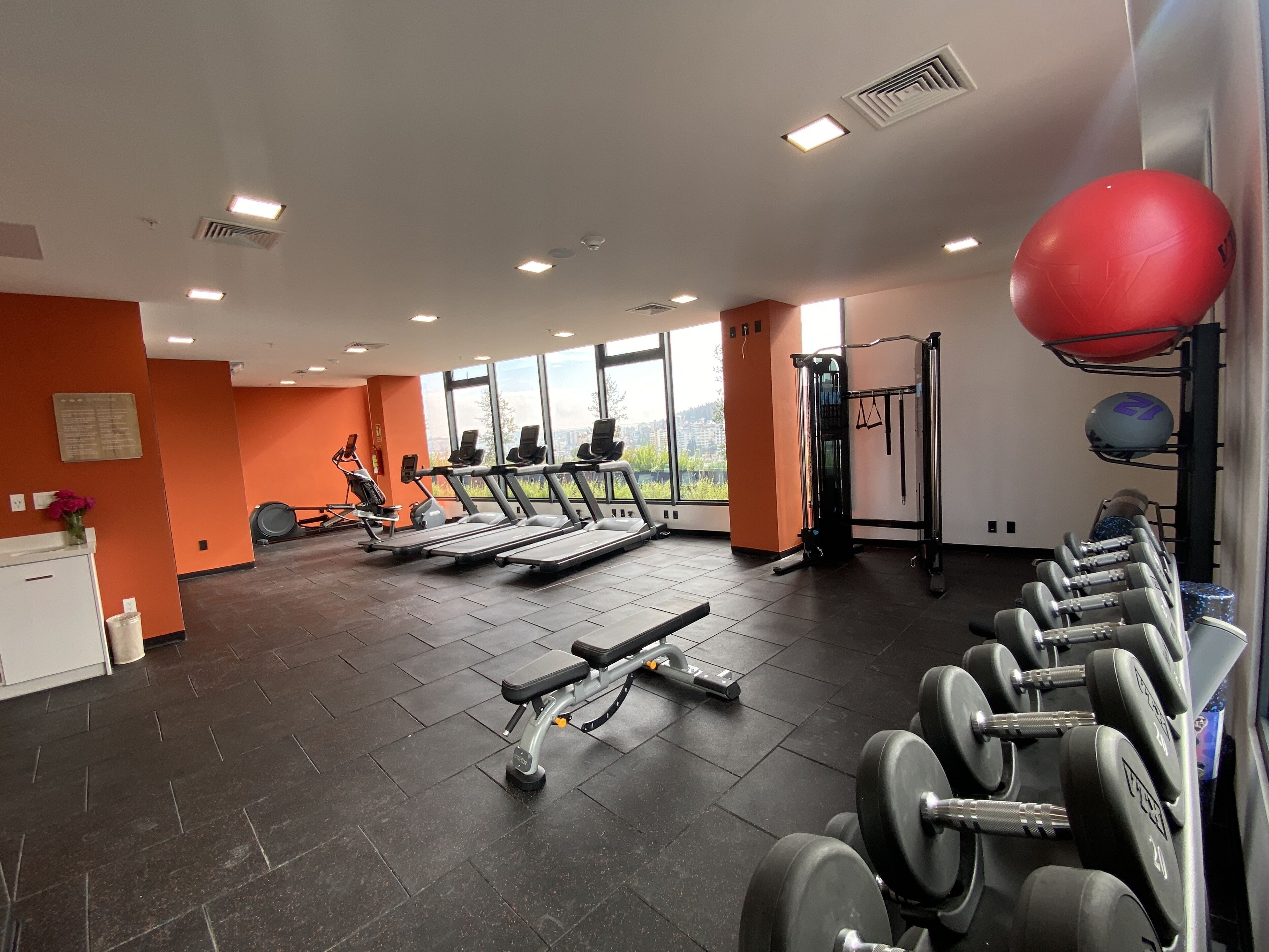 A gym with treadmills, dumbbells, and exercise balls.
