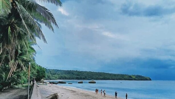 A beach with palm trees, a concrete walkway, and a calm sea.
