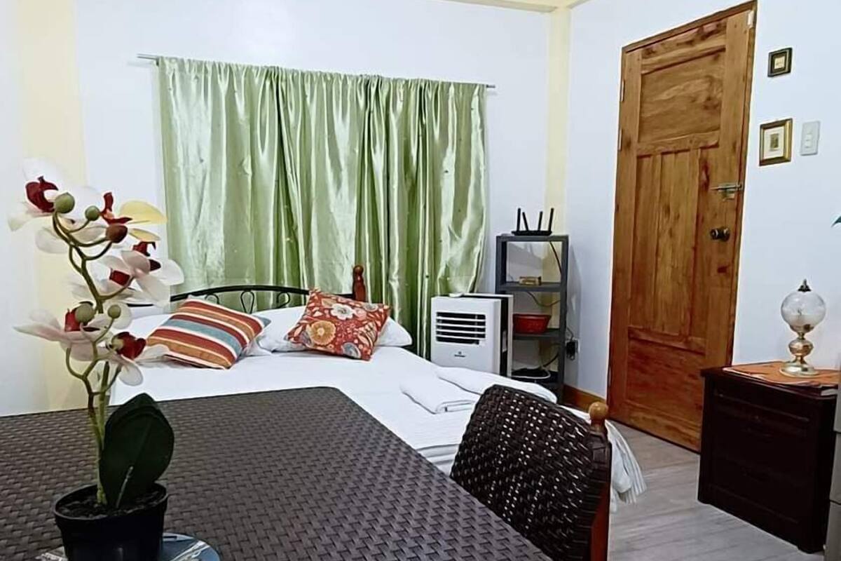 Une chambre d’hôtel comprenant un lit, un bureau, une chaise, une plante en pot, une fenêtre avec des rideaux, une porte en bois et un climatiseur fixé au mur.