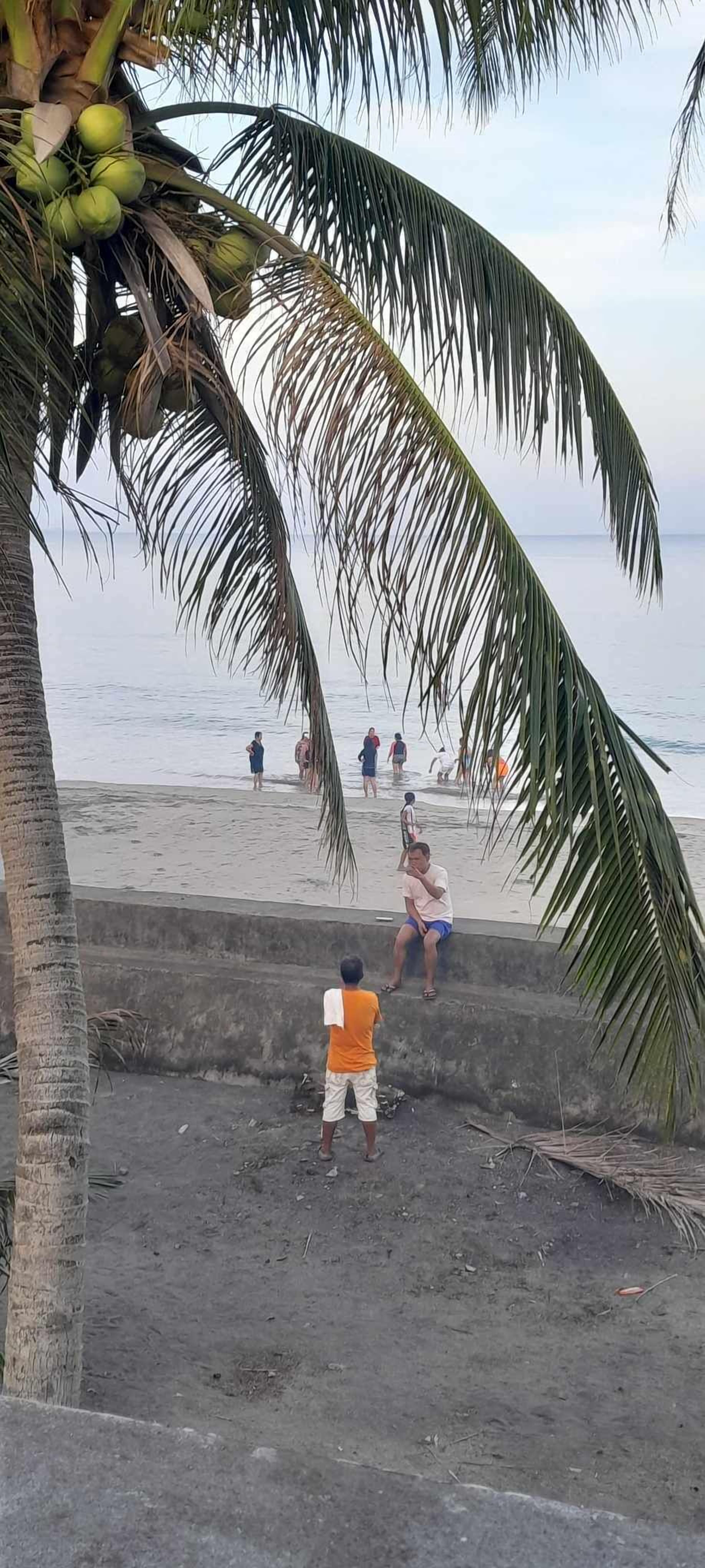 A beach scene with palm trees, a concrete wall, and people in the distance.