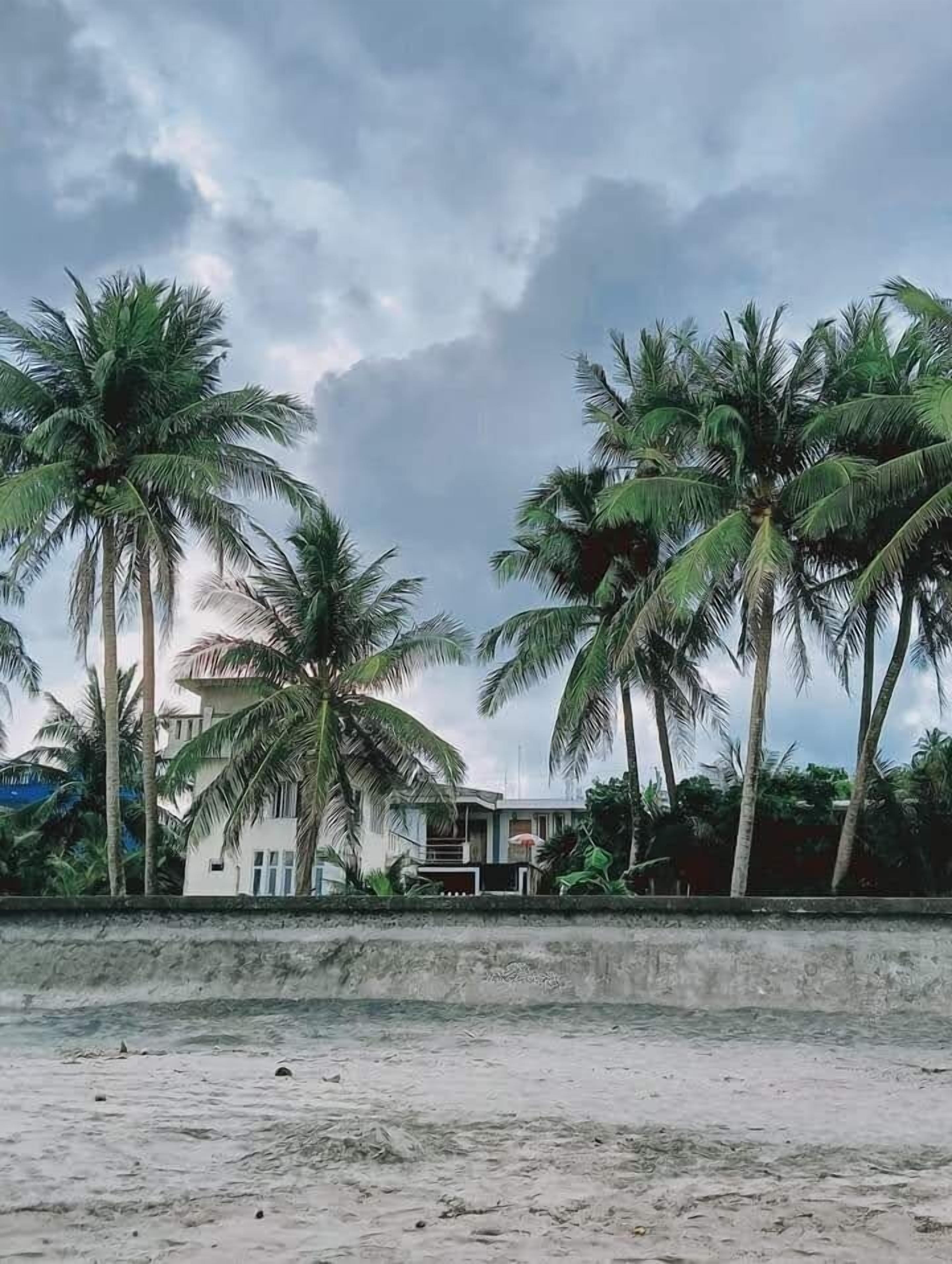 A beachfront property with palm trees and a building with a balcony.