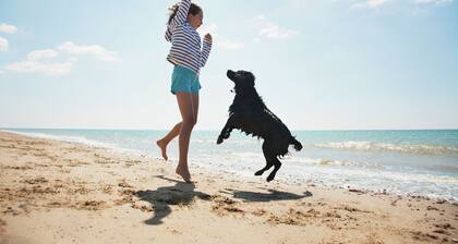 2233 Heritage: Walk to the RBC Heritage from this Pet Friendly Villa.