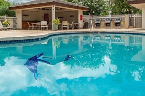 Piscine chauffée